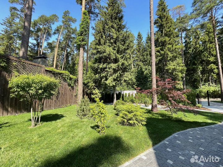 Рулонный газон