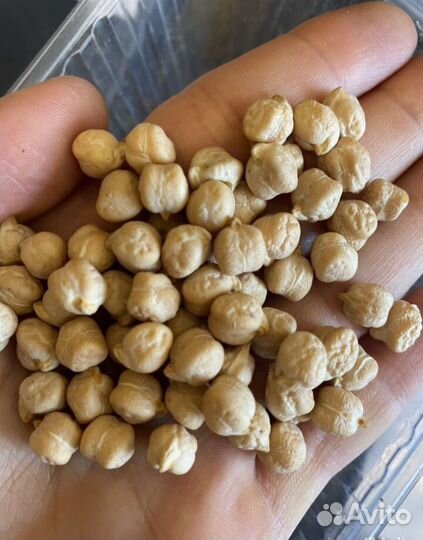 Переработка, очистка сельхозпродукции