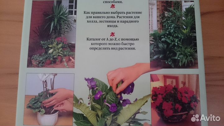 Энциклопедия Комнатные растения