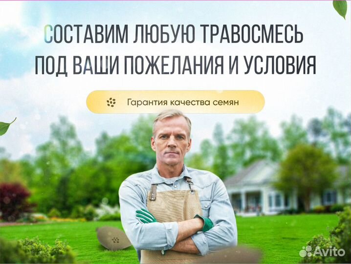 Газонная трава Спорт