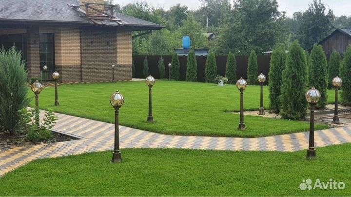 Красивый рулонный газон от профессионалов