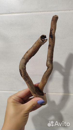 Дрифтвуд коряга