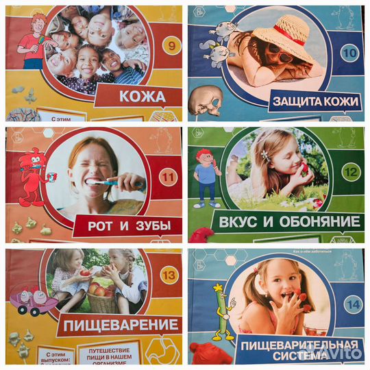 Деагостини тело человека