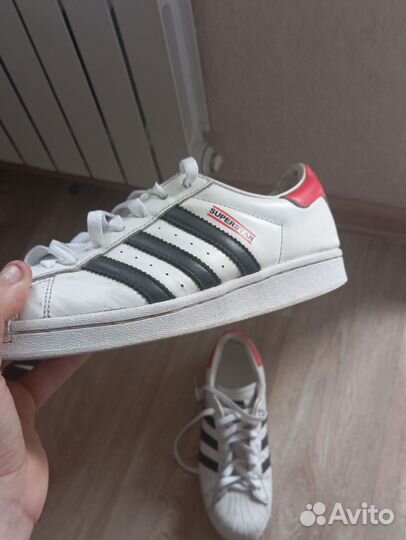 Adidas superstar