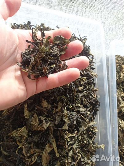 Иван чай ферментированный