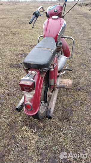 Ява старушка