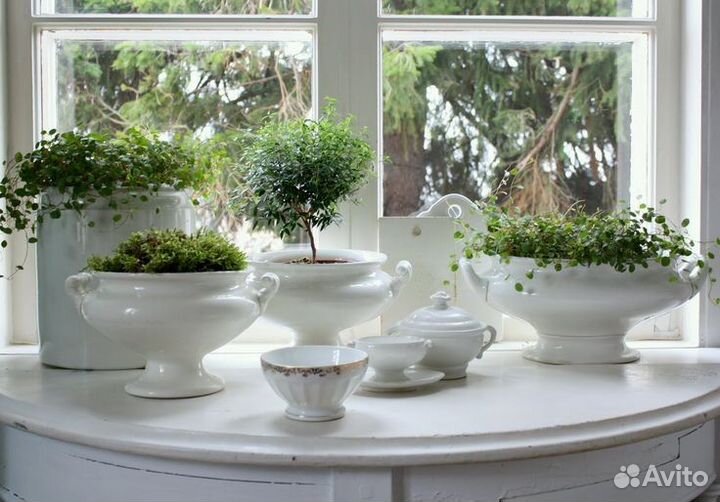 Супница фарфоровая villeroy & boch