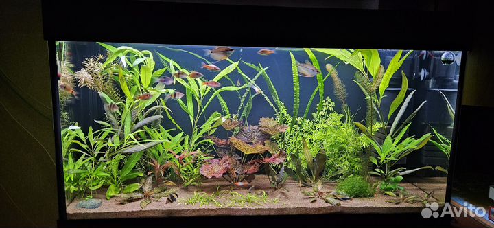 Аквариум 180л