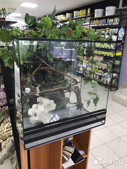 Террариумы для рептилий