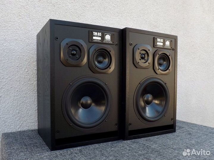 Мониторы Arcus T-85