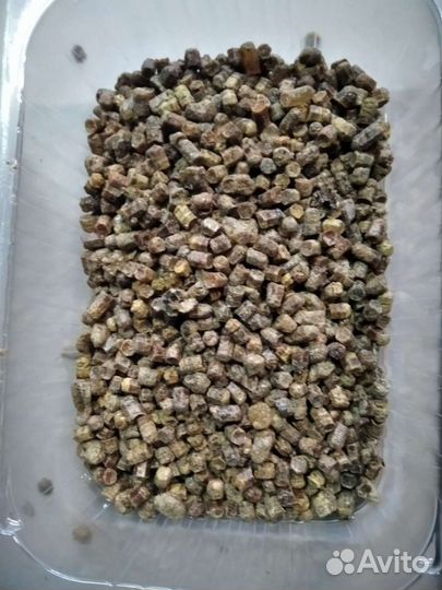 Перга пчелиная