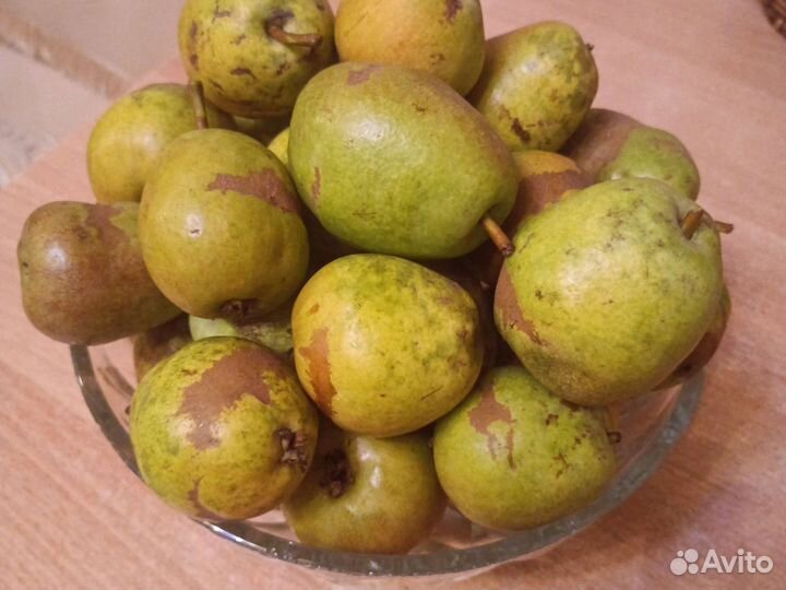 Яблоки и груши