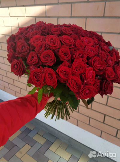 Розы с доставкой, букет роз 101 шт