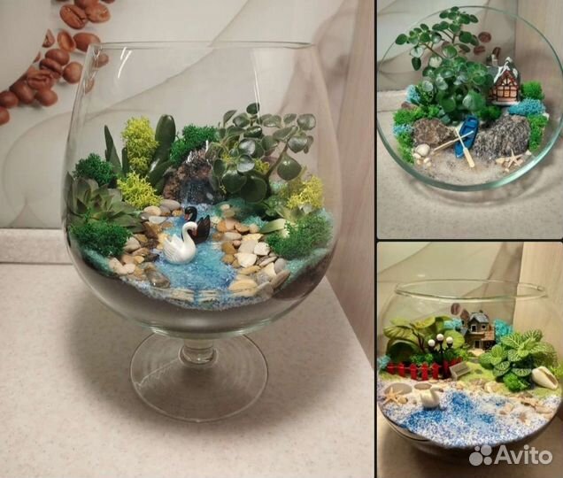 Необычный подарок на день рождения, мини сад