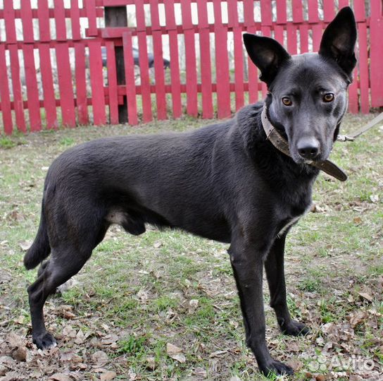 Девайс ждет хозяев