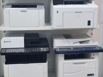 Мфу и Принтер /сканер А4 для Офиса Лазерный