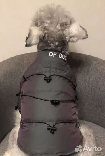 Новая зимняя куртка для маленькой собаки