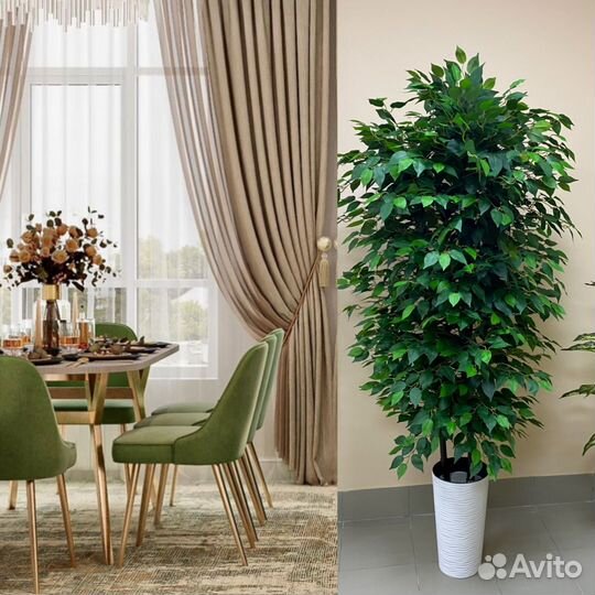 Фикус Бенджи цветок искусственный деревья в кафе