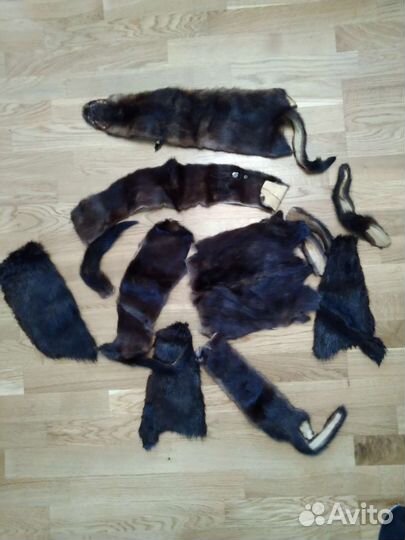 Шкурки норки и песец,лиса