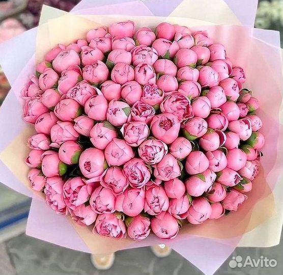 Пионы Букеты Цветы Доставка