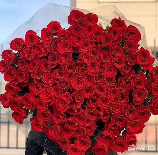 101 роза цветы букеты доставка 25 51 101 роза