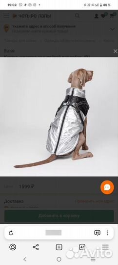 Одежда для собаки(средней породы)