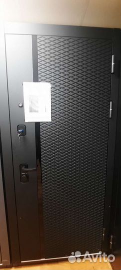 Двери входные в квартиру, с зеркалом