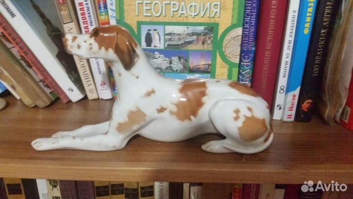 Фарфоровая статуэтка. СССР. Пойнтер. лфз