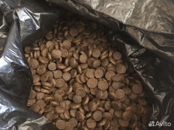 Корм для собак сухой