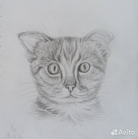 Портрет по фото карандашом