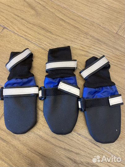 Обувь для собак