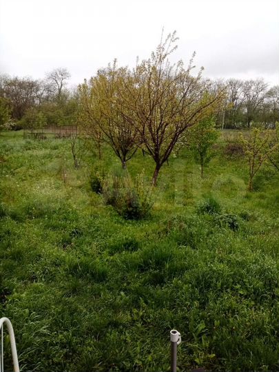 Дом 43,4 м² на участке 8 сот.