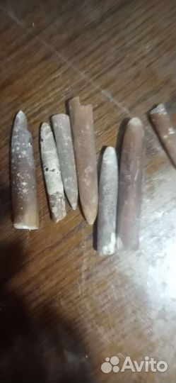 Белемниты чертовы пальцы