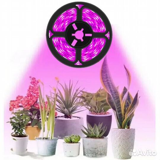 Фито Лента для Выращивания Растений 1m, 3м