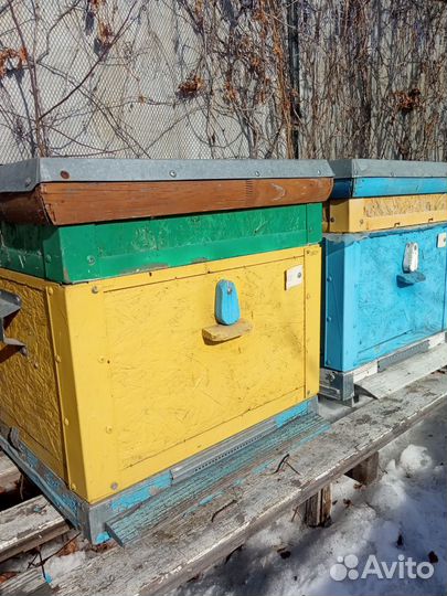 Продаю ульи