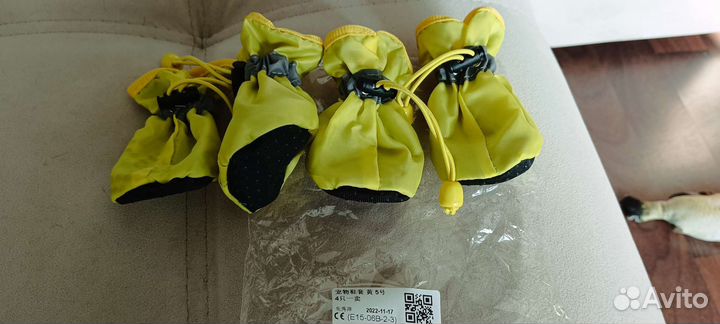 Обувь для собак мелких пород