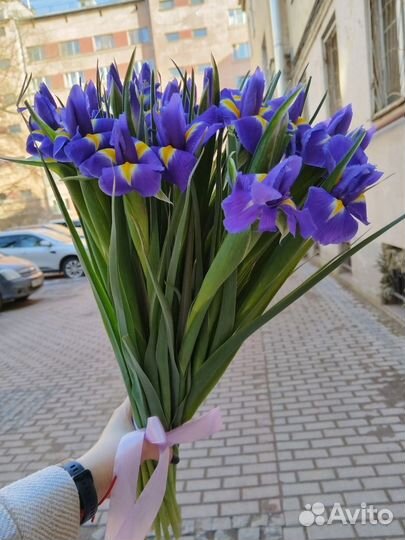 Букет из 27 ирисов