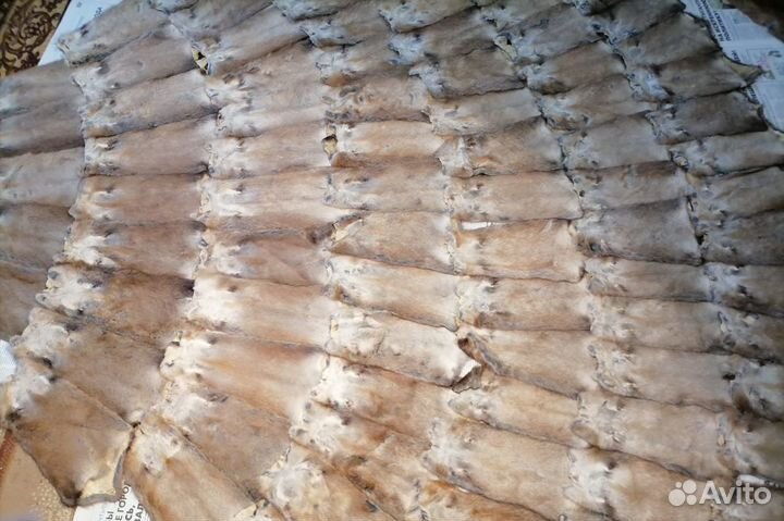 Мех ондатры