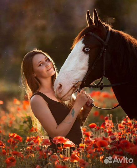 Конные прогулки, фотосессии