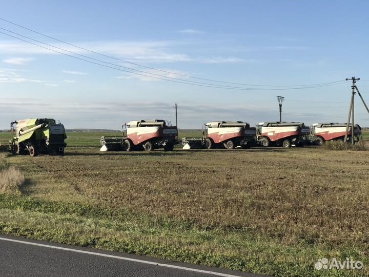 Уборка урожая 2024