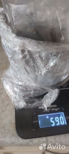 Сверчки кормовые