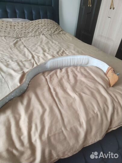 Атлетический пояс