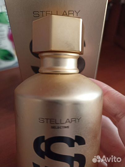 Stellary Patchouli Absolue