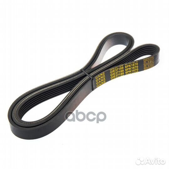 Ремень поликлиновый 6PK1670 ford Transit GIE37189