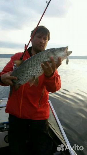 Рыбалка в Волгоградский обл