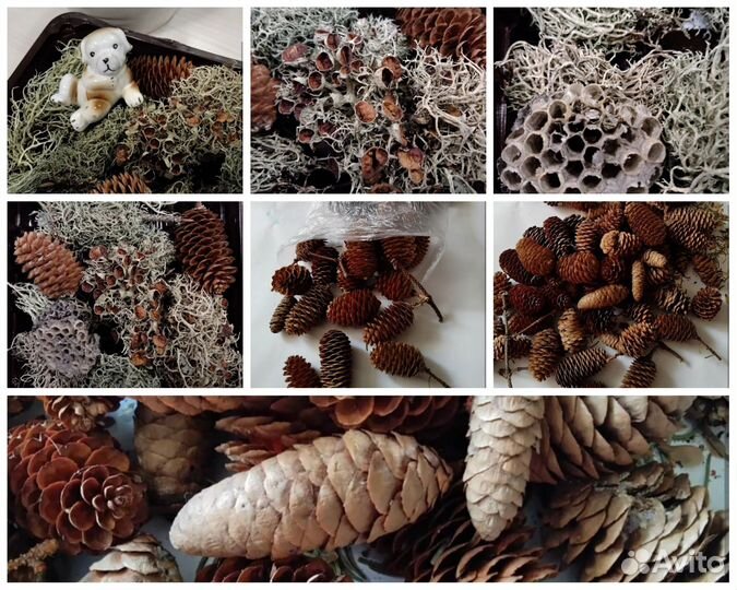 Шишки еловые сосновые Матер. для декора, поделок