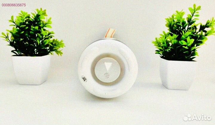 Музыка в каждом моменте с колонкой JBL