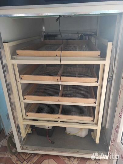 Автоматический инкубатор