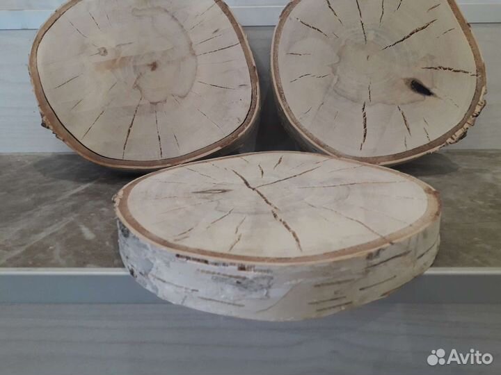 Срезы/спилы березы d21см