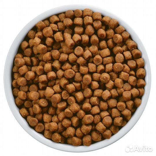 Сухой корм для собак мелких пород